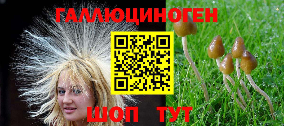 Псилоцибиновые грибы Psilocybine cubensis  Вход с VPN  Химки 