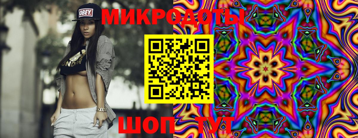 Псилоцибиновые грибы Psilocybe Химки